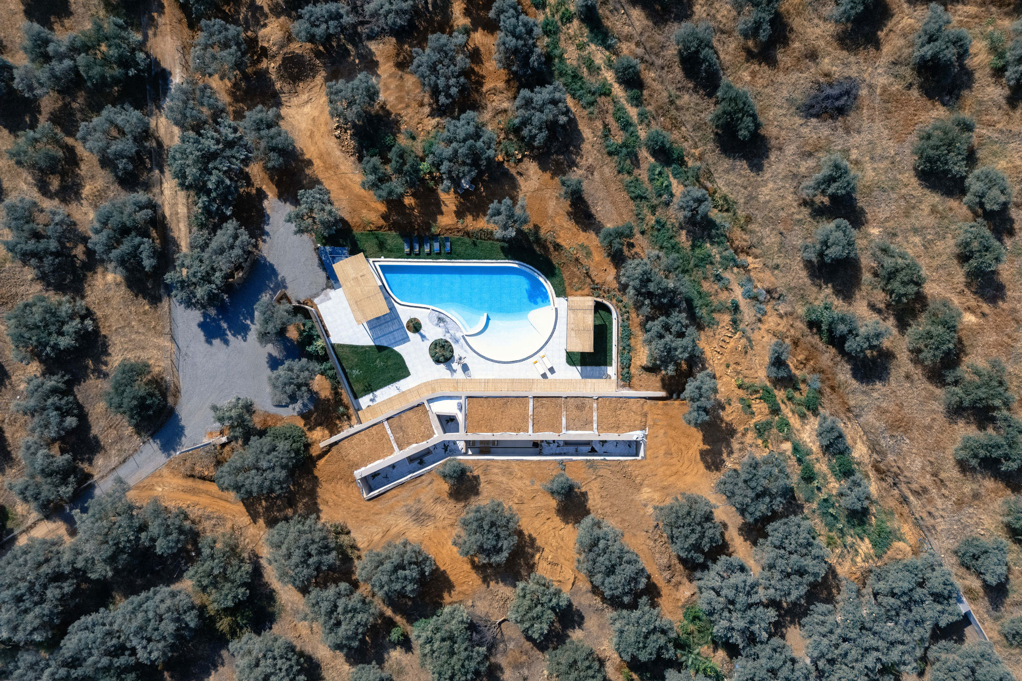 Υπόσκαφη κατοικία μέσα σε ελαιώνα